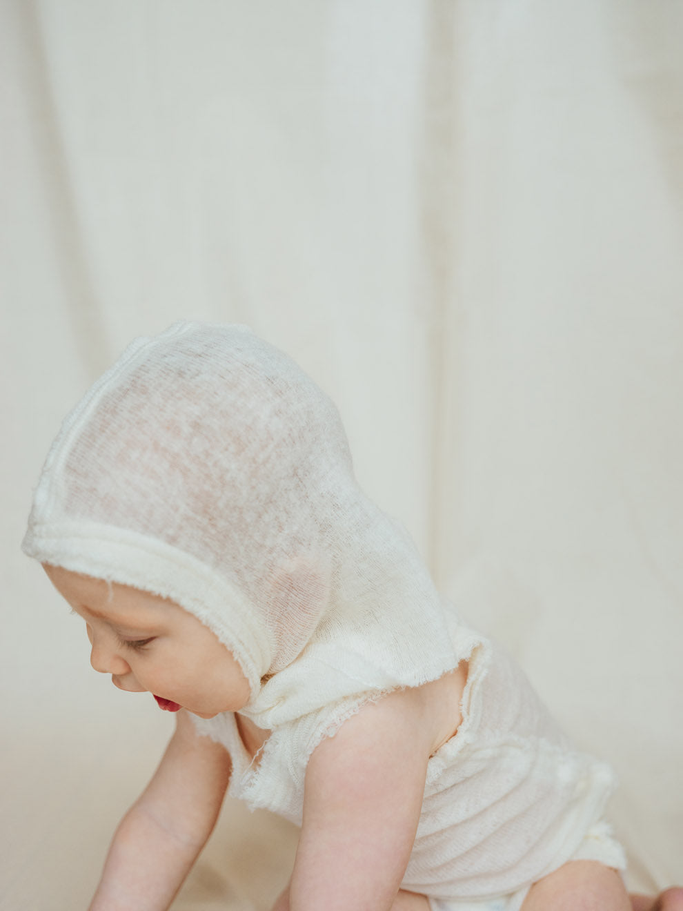 Sóljuhjarta brølapa